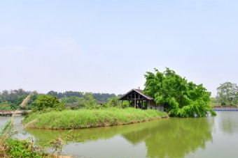 平天湖湿地公园在哪？平天湖湿地公园景点介绍