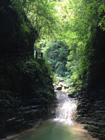 恩施观音峡在哪？恩施观音峡景点介绍