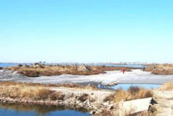 營口土城子遺址在哪？營口土城子遺址景點介紹
