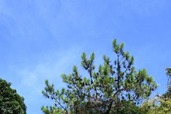 城隍台遗址在哪?城隍台遗址景点介绍