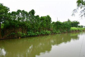 桐城嬉子湖国家湿地公园在哪？桐城嬉子湖国家湿地公园景点介绍