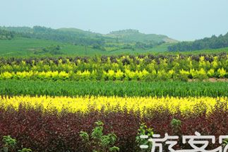 开原百里画廊在哪？开原百里画廊景点介绍