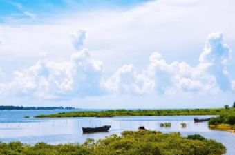 北海滨海国家湿地公园在哪？北海滨海国家湿地公园景点介绍