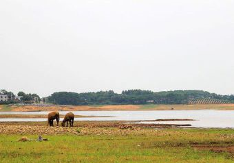 富川龟石国家湿地公园在哪？富川龟石国家湿地公园景点介绍