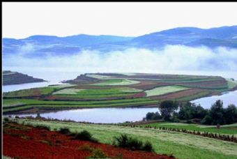 杨梅山观鸟在哪？杨梅山观鸟景点介绍