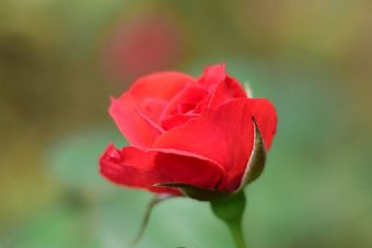 贵州江口国家湿地公园在哪?贵州江口国家湿地公园景点介绍