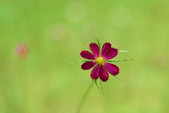 望谟北盘江国家湿地公园在哪？望谟北盘江国家湿地公园景点介绍