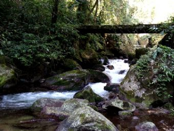 百花岭生态旅游区在哪？百花岭生态旅游区景点介绍