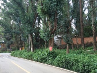 凤凰山科普生态公园在哪？凤凰山科普生态公园景点介绍