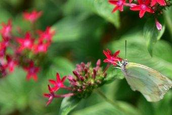 五坝山墓群在哪？五坝山墓群景点介绍
