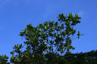 西灰山遗址在哪?西灰山遗址景点介绍