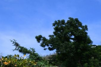 吴家岭遗址在哪？吴家岭遗址景点介绍