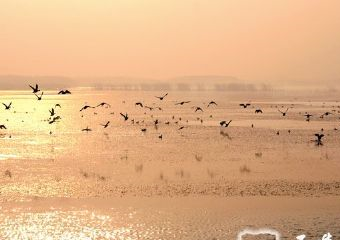 星海湖在哪？星海湖景点介绍