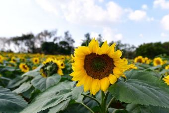 迁安长城国家公园在哪？迁安长城国家公园景点介绍