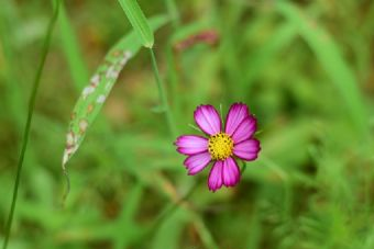 青山公园在哪？青山公园景点介绍