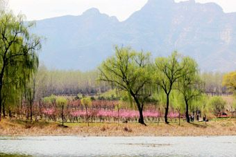 杏花沟湿地公园在哪？杏花沟湿地公园景点介绍