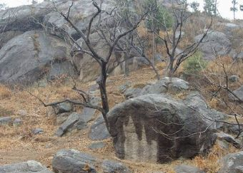 五虎山猎场在哪？五虎山猎场景点介绍