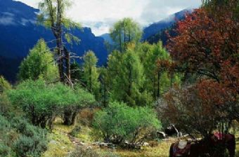 春秋嶺在哪？春秋嶺景點(diǎn)介紹