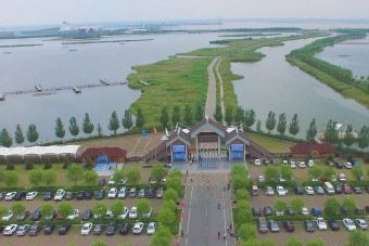 呼兰河口湿地公园景区在哪？呼兰河口湿地公园景区景点介绍