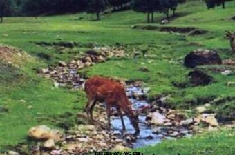 白山狩猎场在哪？白山狩猎场景点介绍