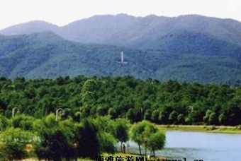 呼中國家級自然保護區在哪？呼中國家級自然保護區景點介紹