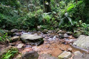 樺木溝國家森林公園在哪？樺木溝國家森林公園景點(diǎn)介紹