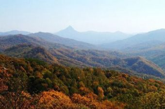 松峰山自然保护区在哪？松峰山自然保护区景点介绍