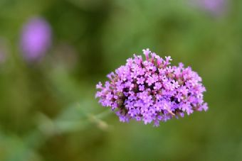 天义水上公园在哪？天义水上公园景点介绍