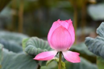 永壽寺塔在哪？永壽寺塔景點介紹