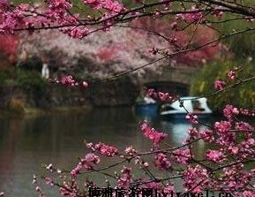 惠山东麓在哪？惠山东麓景点介绍