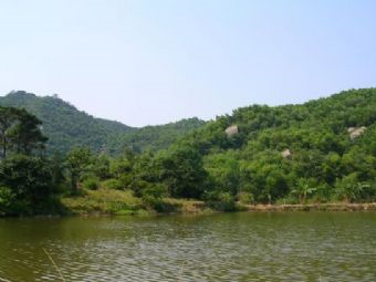 海林龙头山在哪？海林龙头山景点介绍