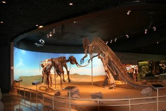 黑龍江流域博物館在哪？黑龍江流域博物館景點介紹