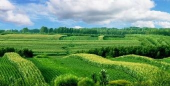 五岭峰生态旅游度假区在哪？五岭峰生态旅游度假区景点介绍