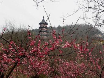 牛首山森林公园 佛顶宫在哪？牛首山森林公园 佛顶宫景点介绍