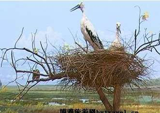 三江平原湿地宣教馆在哪？三江平原湿地宣教馆景点介绍