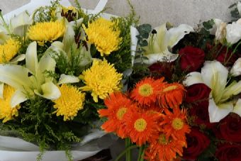 “三.一三”烈士陵园在哪？“三.一三”烈士陵园景点介绍