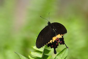 谢家街西山遗址在哪？谢家街西山遗址景点介绍