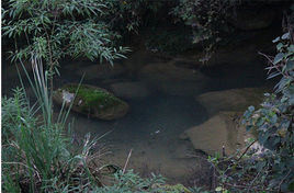 桐门洞在哪？桐门洞景点介绍