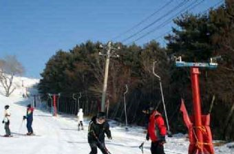 哈尔滨月亮湾滑雪场在哪？哈尔滨月亮湾滑雪场景点介绍