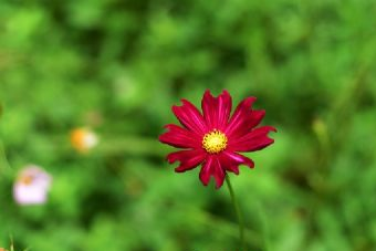 山河森林公园在哪？山河森林公园景点介绍