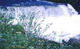 宝顶沟自然保护区在哪？宝顶沟自然保护区景点介绍