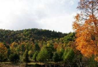 万松岩风景区在哪？万松岩风景区景点介绍