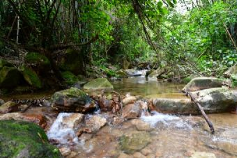 碧水湾森林生态园在哪？碧水湾森林生态园景点介绍