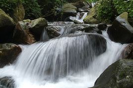 乳源通天蘿森林公園在哪？乳源通天蘿森林公園景點介紹