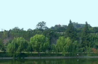 南京狮子山景区 南京狮子山公园在哪？南京狮子山景区 南京狮子山公园景点介绍