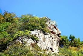 苏子湾环保教育基地在哪?苏子湾环保教育基地景点介绍