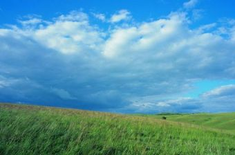 龍頭灣野外運(yùn)動(dòng)場(chǎng)在哪？龍頭灣野外運(yùn)動(dòng)場(chǎng)景點(diǎn)介紹