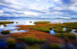 日干乔大沼泽在哪?日干乔大沼泽景点介绍