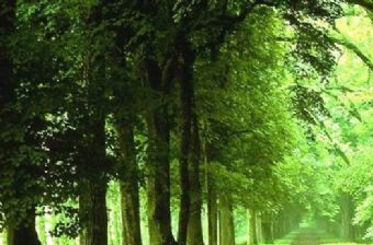 巴彦花水上乐园在哪？巴彦花水上乐园景点介绍