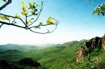 阿鲁科尔沁自然保护区在哪？阿鲁科尔沁自然保护区景点介绍